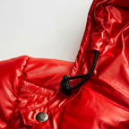 Pufferjas Met Capuchon Glanzende Look | Wintergebruik