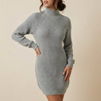 Trui jurk dames colkraag | Dagelijks gebruik