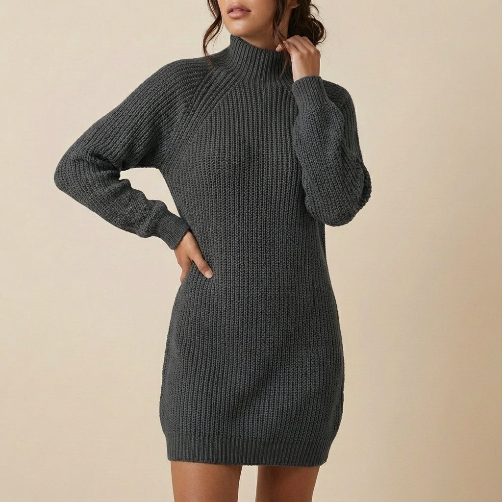 Trui jurk dames colkraag | Dagelijks gebruik