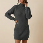 Trui jurk dames colkraag | Dagelijks gebruik