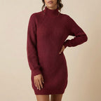 Trui jurk dames colkraag | Dagelijks gebruik